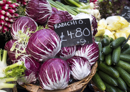 strada del radicchio di chioggia